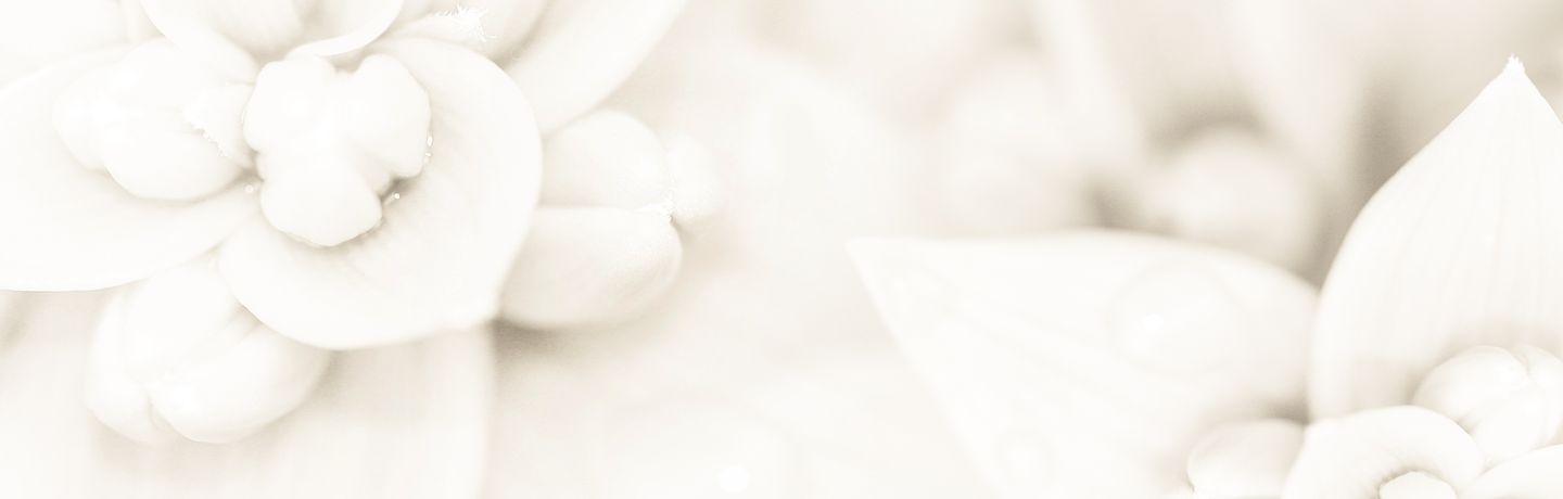 livewellholisticsolutions.com